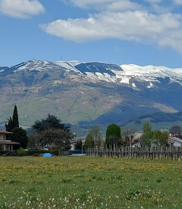 Hotel Locazione Turistica El Sghirlo Vidor Zewnętrze zdjęcie